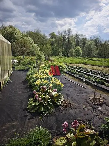 Дача, 30 м², 18 сот., 1 этаж