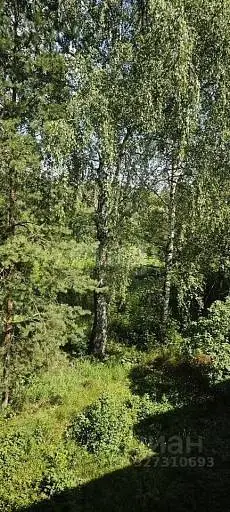 Участок, 7 сот.