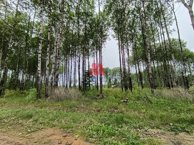 Участок, 10 сот.