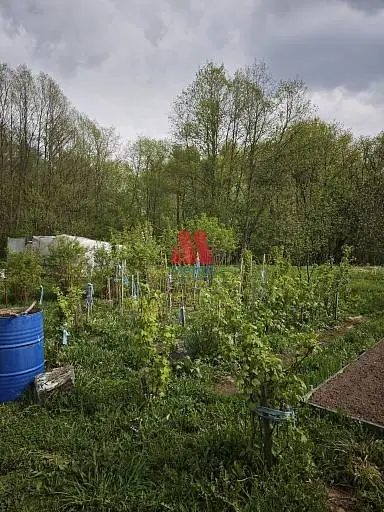 Дача, 30 м², 18 сот., 1 этаж