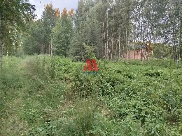 Участок, 12 сот.