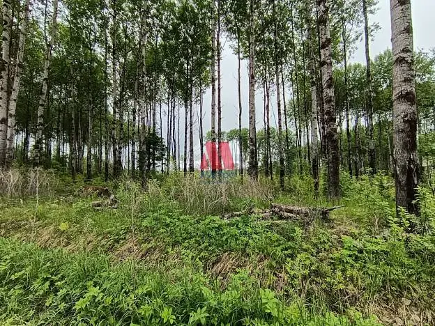 Участок, 10 сот.