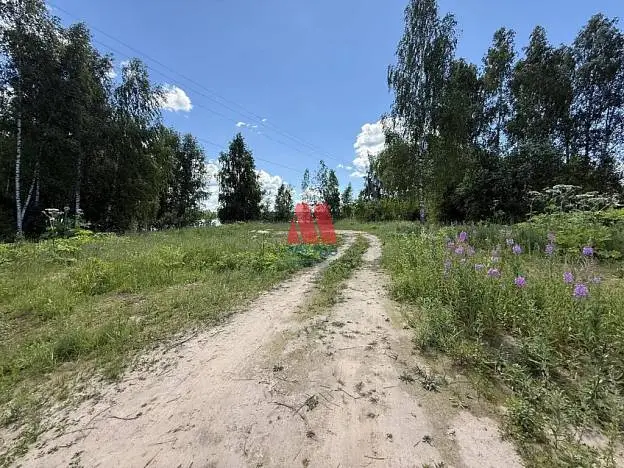 Участок, 1 650 сот.