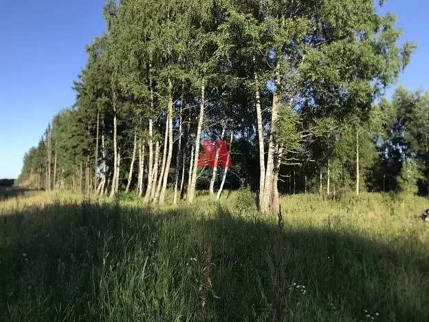 Участок, 10 сот.