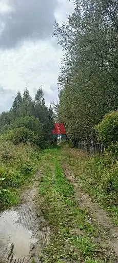 Дача, 25 м², 12 сот., 1 этаж