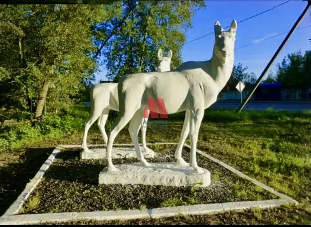 Участок, 11 сот.
