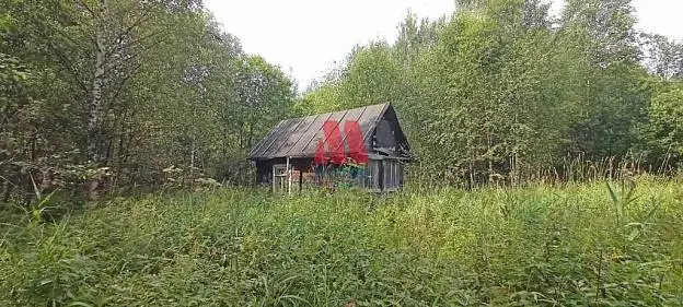 Дача, 25 м², 12 сот., 1 этаж